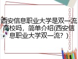西安信息职业大学是双一流高校吗，简单介绍(西安信息职业大学双一流？)