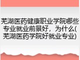 芜湖医药健康职业学院哪些专业就业前景好，为什么(芜湖医药学院好就业专业)