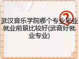 武汉音乐学院哪个专业毕业就业前景比较好(武音好就业专业)