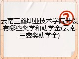 云南三鑫职业技术学院开设有哪些奖学和助学金(云南三鑫奖助学金)