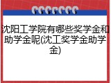 沈阳工学院有哪些奖学金和助学金呢(沈工奖学金助学金)