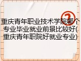 重庆青年职业技术学院哪个专业毕业就业前景比较好(重庆青年职院好就业专业)