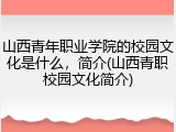 山西青年职业学院的校园文化是什么，简介(山西青职校园文化简介)