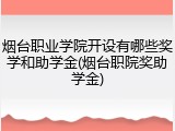 烟台职业学院开设有哪些奖学和助学金(烟台职院奖助学金)