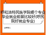呼和浩特民族学院哪个专业毕业就业前景比较好(呼民院好就业专业)