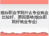 烟台职业学院什么专业就业比较好，原因是啥(烟台职院好就业专业)