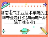 湖南电气职业技术学院的王牌专业是什么(湖南电气职院王牌专业)