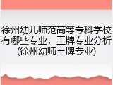 徐州幼儿师范高等专科学校有哪些专业，王牌专业分析(徐州幼师王牌专业)