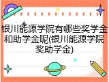 银川能源学院有哪些奖学金和助学金呢(银川能源学院奖助学金)