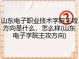 山东电子职业技术学院主攻方向是什么，怎么样(山东电子学院主攻方向)