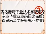 青岛港湾职业技术学院哪个专业毕业就业前景比较好(青岛港湾学院好就业专业)