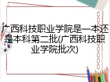 广西科技职业学院是一本还是本科第二批(广西科技职业学院批次)