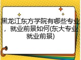 黑龙江东方学院有哪些专业，就业前景如何(东大专业就业前景)