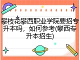 攀枝花攀西职业学院要招专升本吗，如何参考(攀西专升本招生)