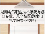 湖南电气职业技术学院有哪些专业，几个校区(湖南电气学院专业校区)