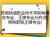 昆明铁道职业技术学院有哪些专业，王牌专业分析(昆明铁职院王牌专业)
