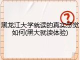 黑龙江大学就读的真实感觉如何(黑大就读体验)
