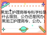 黑龙江护理高等专科学校是什么级别，公办还是民办(黑龙江护理高专，公办。)