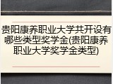贵阳康养职业大学共开设有哪些类型奖学金(贵阳康养职业大学奖学金类型)