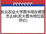 东北农业大学图书馆在哪里，怎么样(农大图书馆位置评价)
