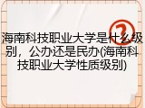 海南科技职业大学是什么级别，公办还是民办(海南科技职业大学性质级别)
