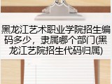 黑龙江艺术职业学院招生编码多少，隶属哪个部门(黑龙江艺院招生代码归属)