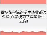 攀枝花学院的学生毕业都怎么样了(攀枝花学院毕业生去向)