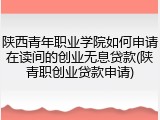 陕西青年职业学院如何申请在读间的创业无息贷款(陕青职创业贷款申请)