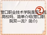 营口职业技术学院是双一流高校吗，简单介绍(营口职院双一流？简介)