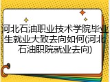 河北石油职业技术学院毕业生就业大致去向如何(河北石油职院就业去向)