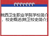皖西卫生职业学院学校简介，校史概述(皖卫校史简介)