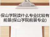 保山学院读什么专业比较有前景(保山学院前景专业)