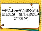 武汉科技大学在哪个城市，是本科吗，第几批(武科大是本科吗)