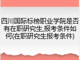四川国际标榜职业学院是否有在职研究生,报考条件如何(在职研究生报考条件)