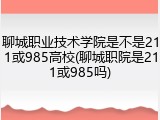 聊城职业技术学院是不是211或985高校(聊城职院是211或985吗)