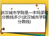 武汉城市学院是一本吗录取分数线多少(武汉城市学院分数线)