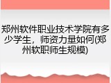 郑州软件职业技术学院有多少学生，师资力量如何(郑州软职师生规模)
