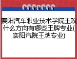 襄阳汽车职业技术学院主攻什么方向有哪些王牌专业(襄阳汽院王牌专业)
