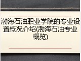 渤海石油职业学院的专业设置概况介绍(渤海石油专业概览)