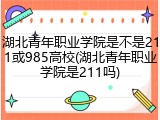 湖北青年职业学院是不是211或985高校(湖北青年职业学院是211吗)