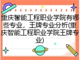 重庆智能工程职业学院有哪些专业，王牌专业分析(重庆智能工程职业学院王牌专业)