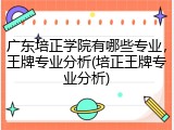 广东培正学院有哪些专业，王牌专业分析(培正王牌专业分析)