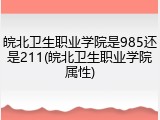 皖北卫生职业学院是985还是211(皖北卫生职业学院属性)