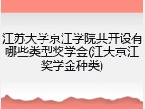 江苏大学京江学院共开设有哪些类型奖学金(江大京江奖学金种类)