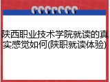 陕西职业技术学院就读的真实感觉如何(陕职就读体验)