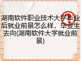 湖南软件职业技术大学毕业后就业前景怎么样，毕业生去向(湖南软件大学就业前景)