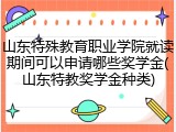山东特殊教育职业学院就读期间可以申请哪些奖学金(山东特教奖学金种类)