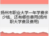 扬州市职业大学一年学费多少钱，还有哪些费用(扬州职大学费及费用)