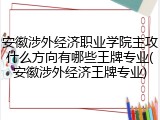 安徽涉外经济职业学院主攻什么方向有哪些王牌专业(安徽涉外经济王牌专业)