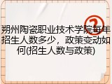 朔州陶瓷职业技术学院每年招生人数多少，政策变动如何(招生人数与政策)